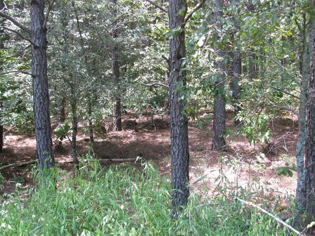 Land in Nashoba, Oklahoma