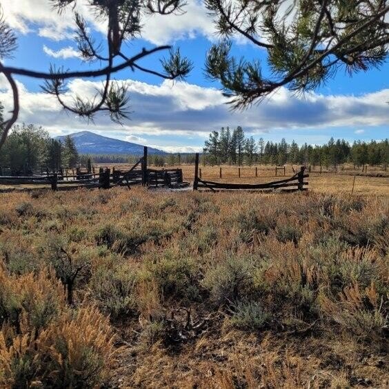 Susanville Land with Grazing Potential