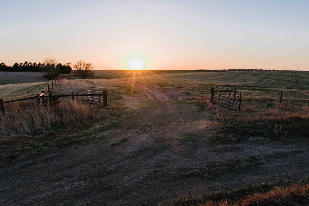 Picture 37