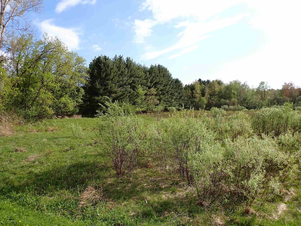 Picture 27