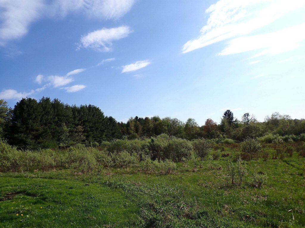 Picture 29