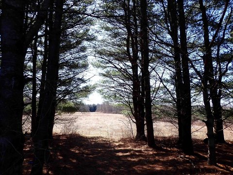 Potsdam Hunting/Recreational Land For Sale