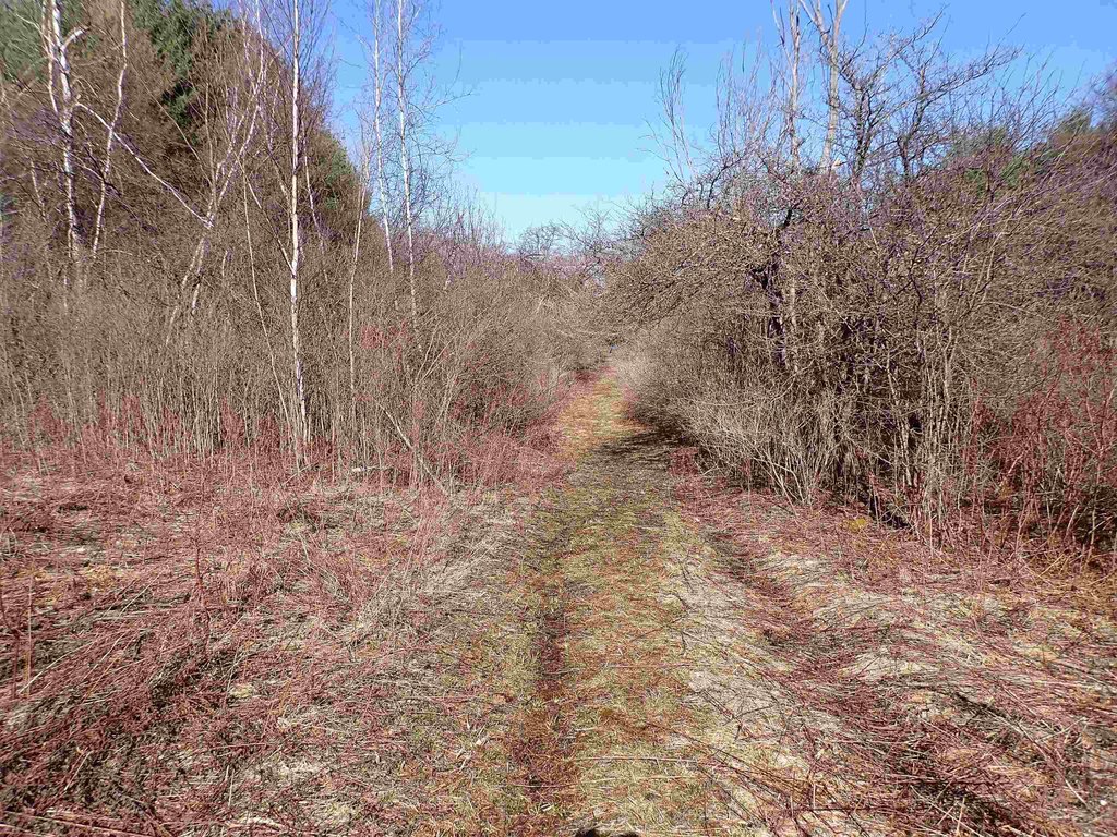 Picture 24