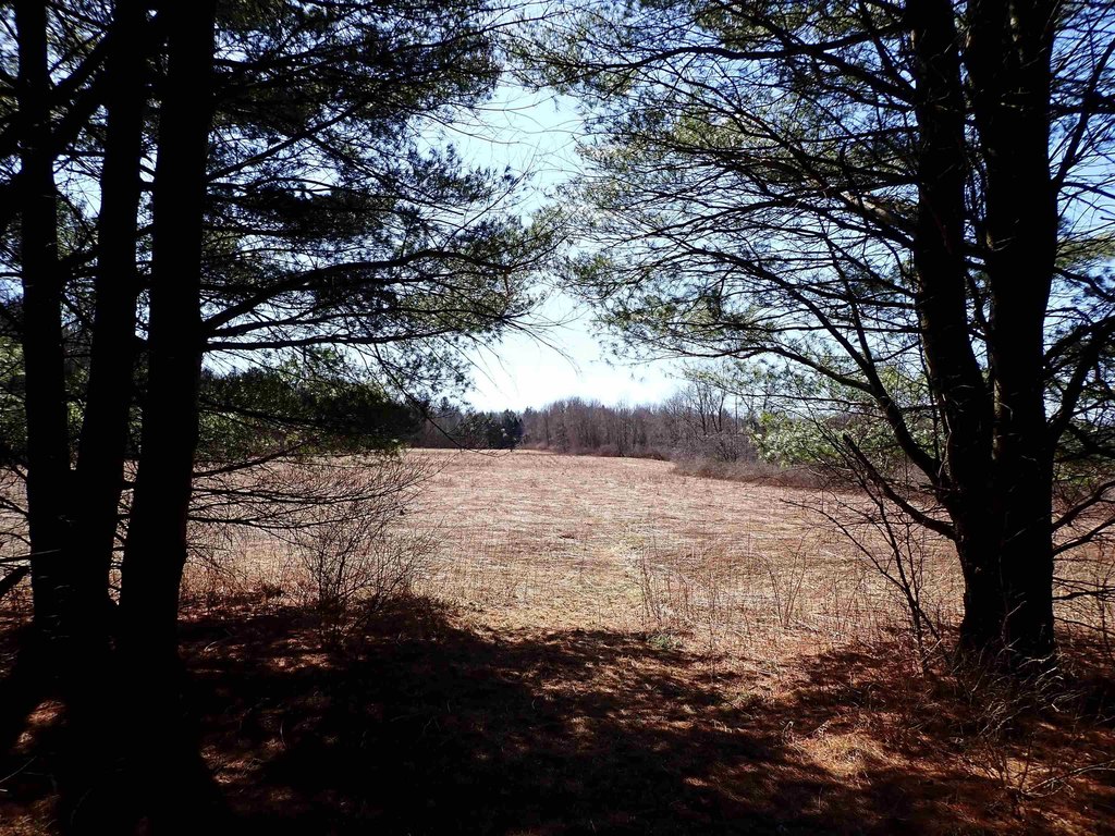 Picture 25