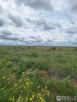 Land For Sale, Briggsdale, CO