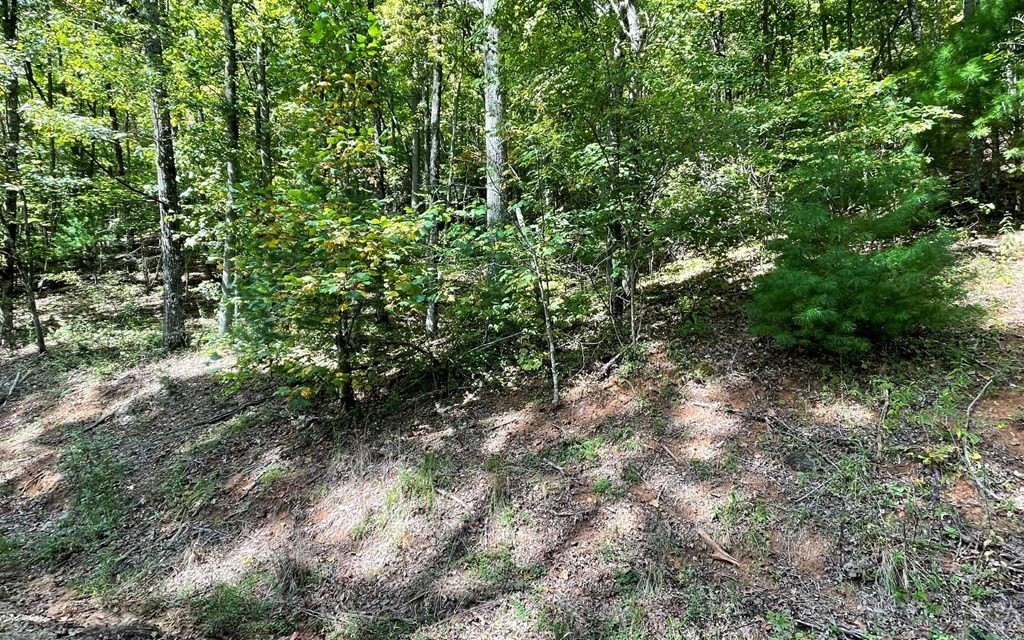 Picture 14