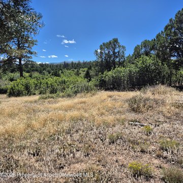 RES Vacant Land, Montrose, CO
