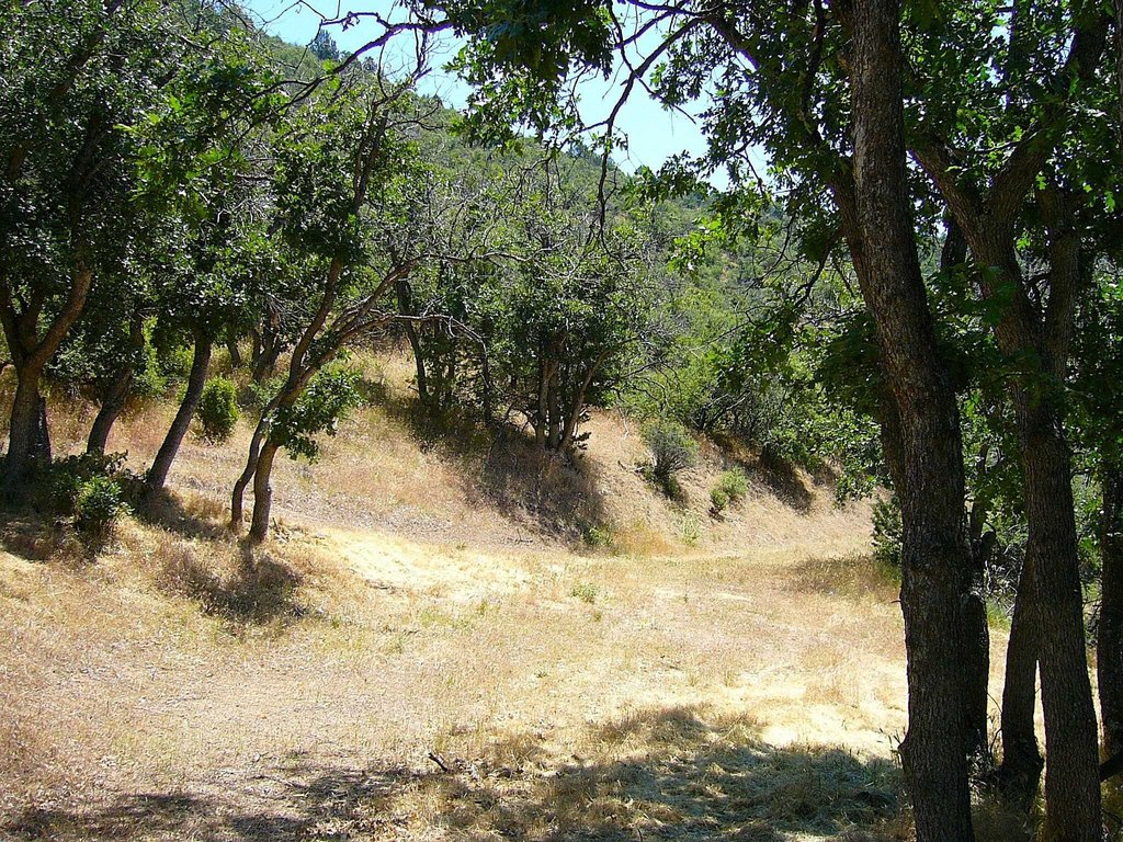 Picture 9