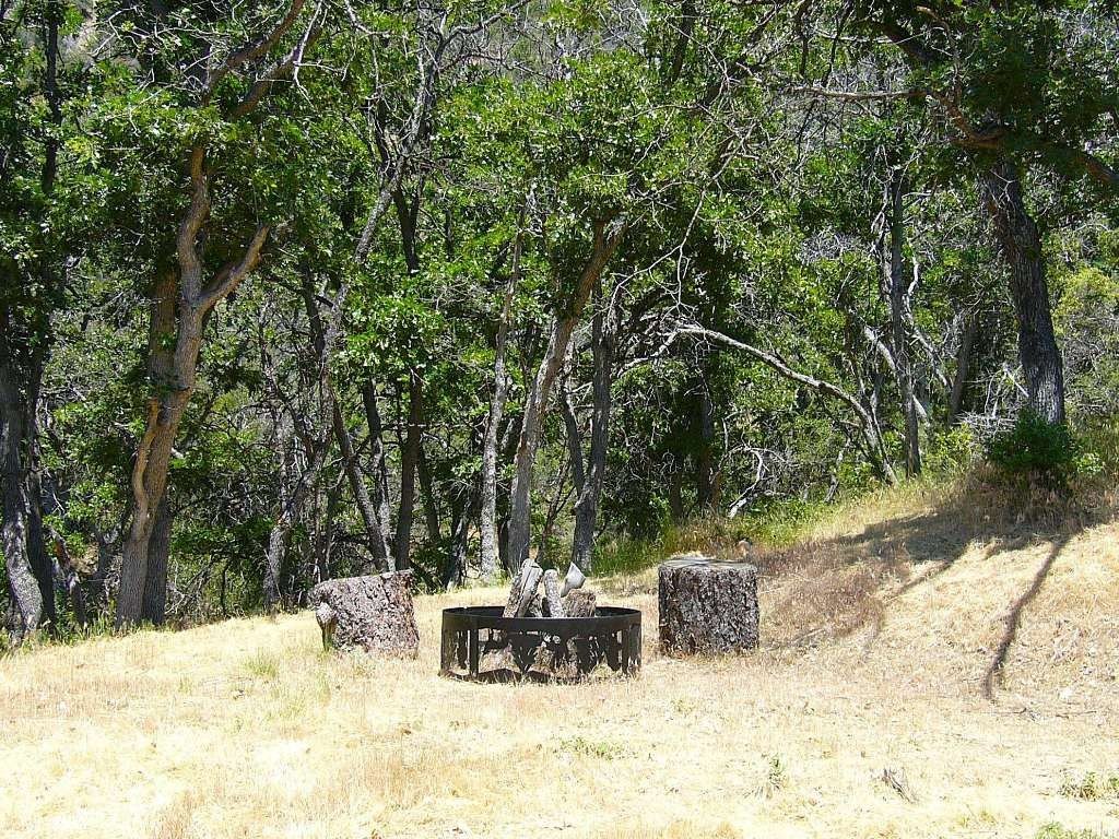 Picture 2