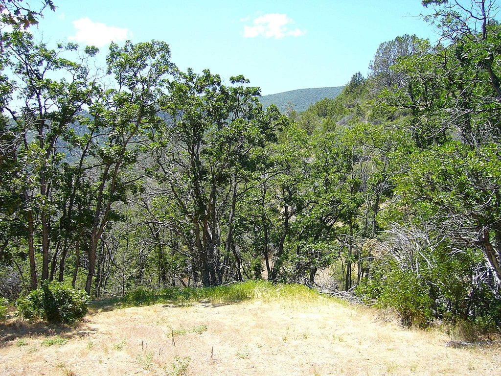 Picture 7