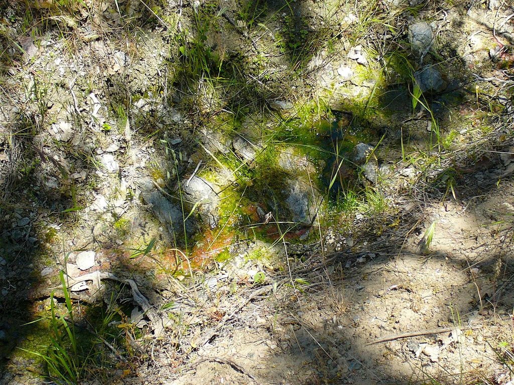 Picture 14