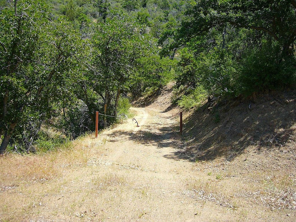 Picture 27