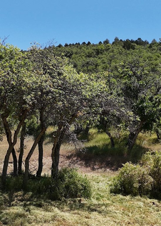 Picture 24