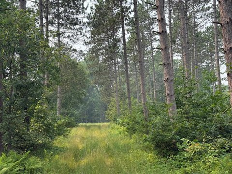 Lakefront Land with Multi-Parcels