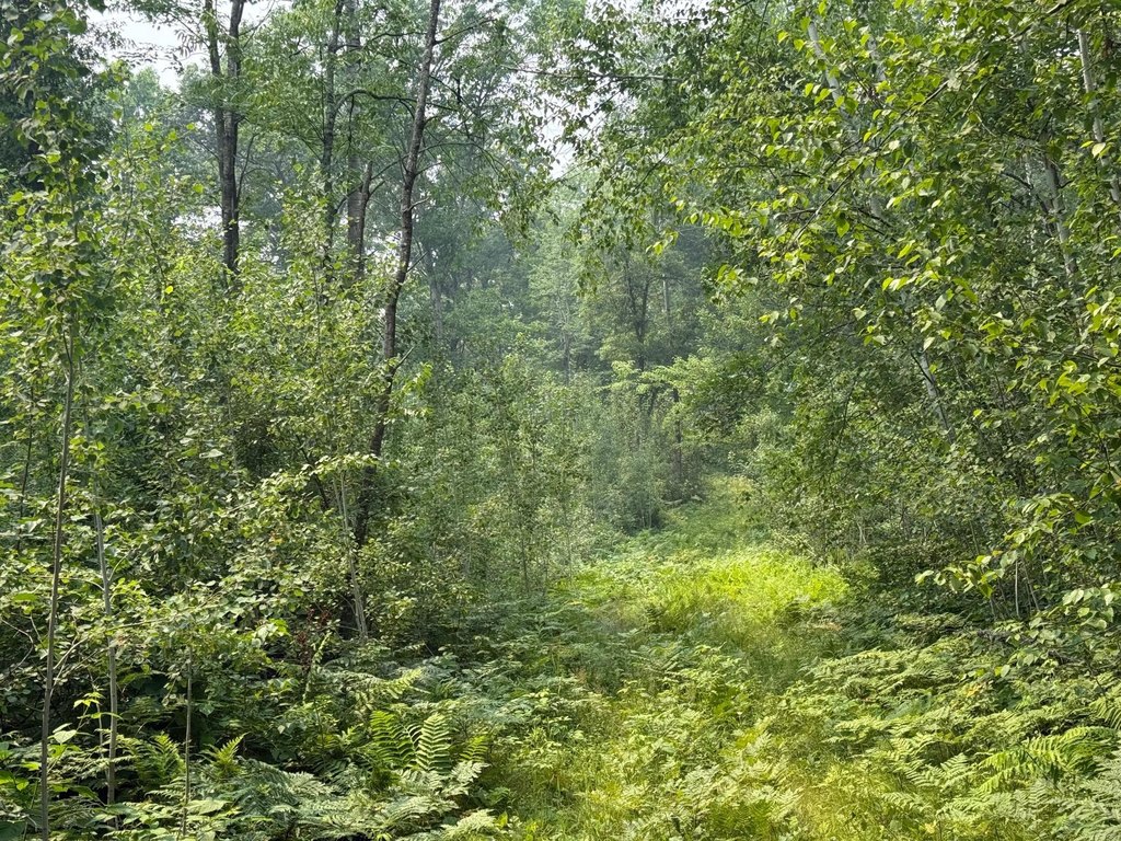 Picture 18