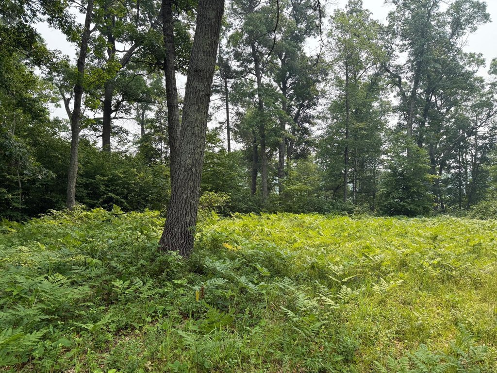 Picture 19