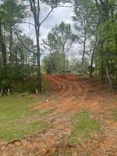 Secluded Acreage in Nacogdoches, TX