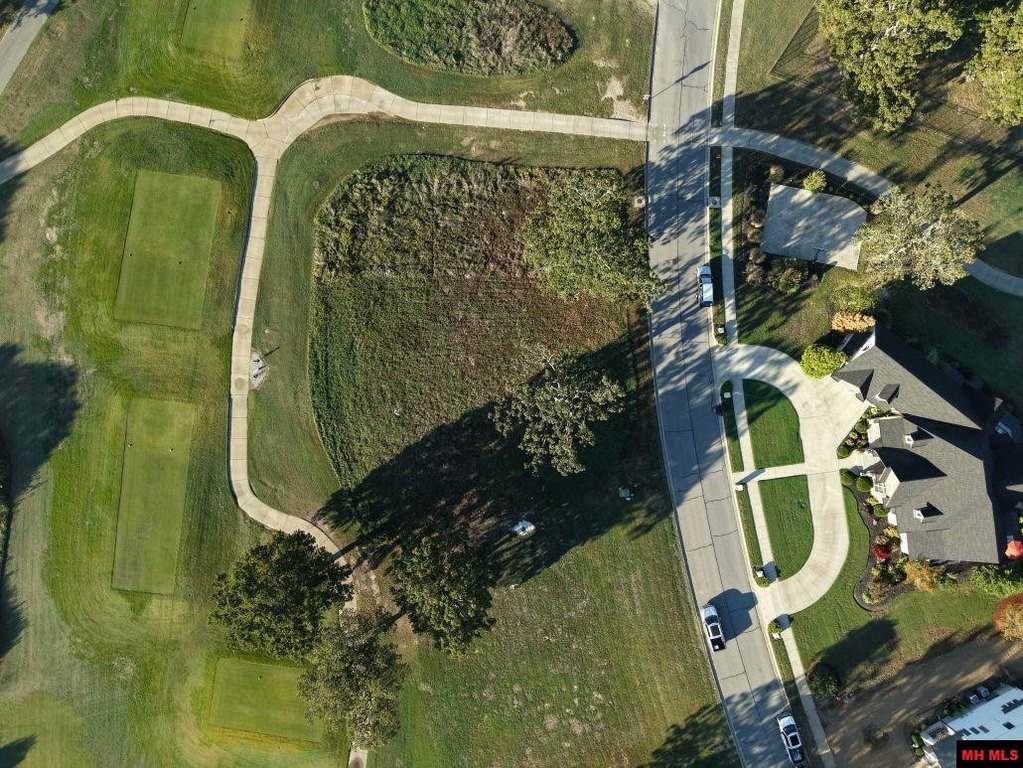 Picture 3