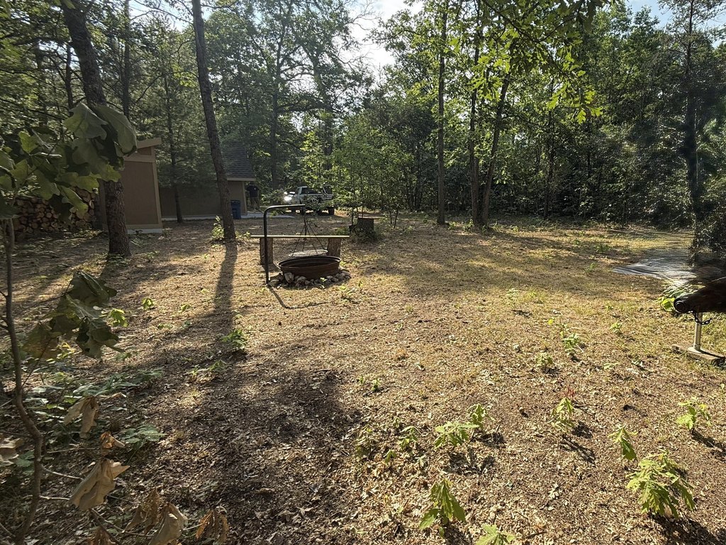 Picture 6