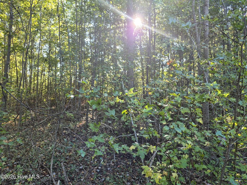 Picture 8