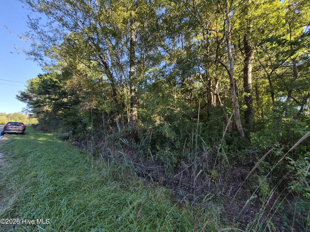 Picture 18