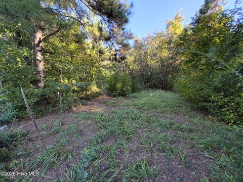 Land, Burgaw, NC