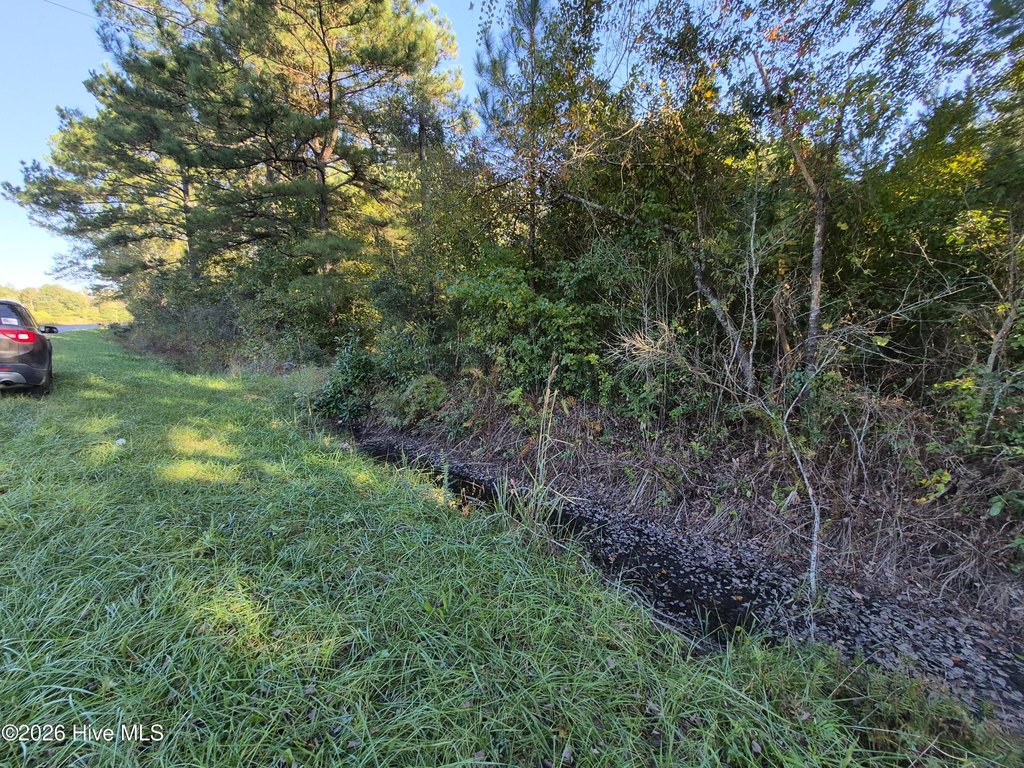 Picture 16
