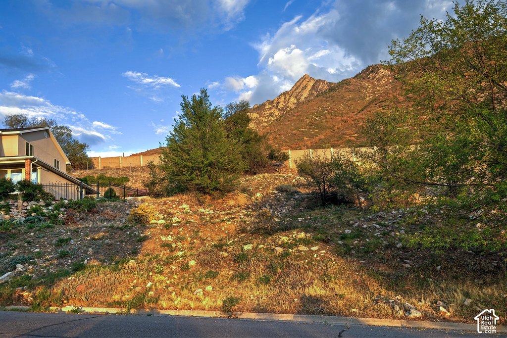 Picture 29
