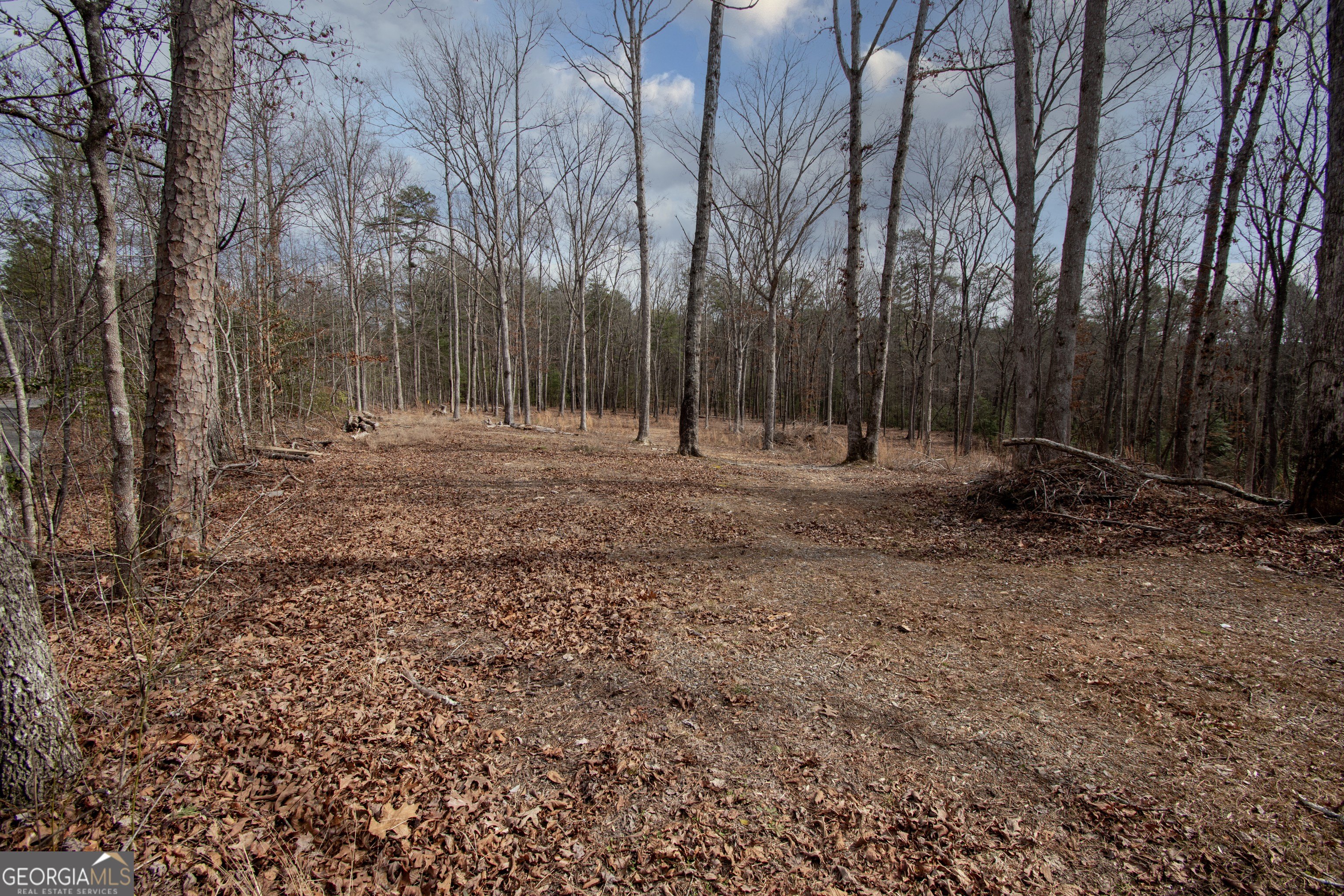 2.8 Acres Wooded Land, Murphy