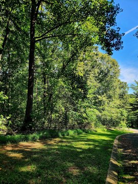 Land in Dunlap, Tennessee