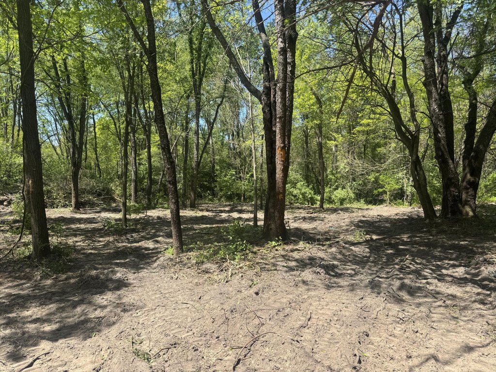 Picture 3
