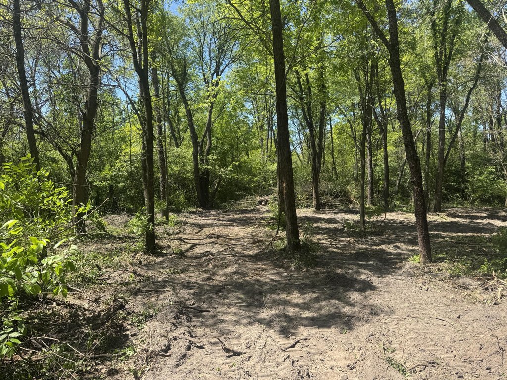 Picture 4
