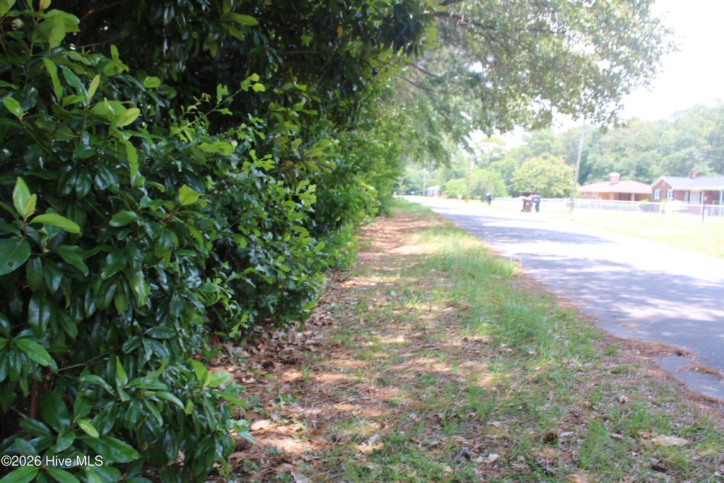 Picture 15