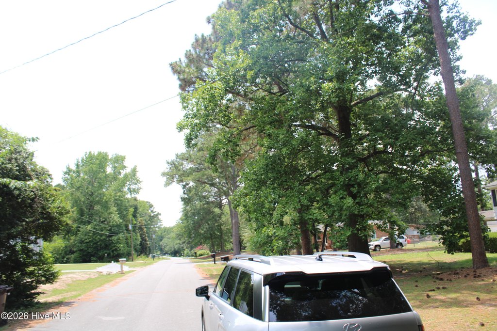 Picture 8
