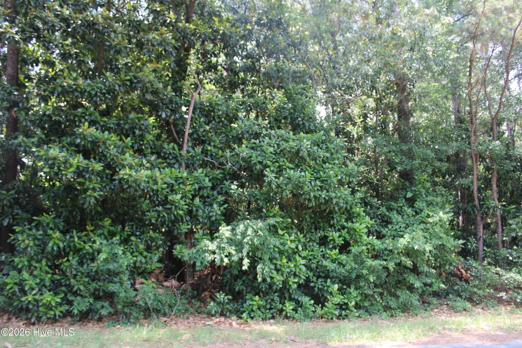 Picture 3