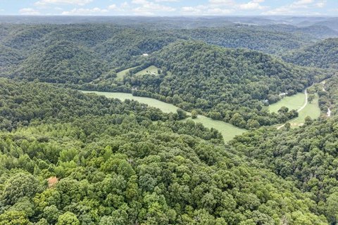 Unrestricted Wooded Land with Road Frontage