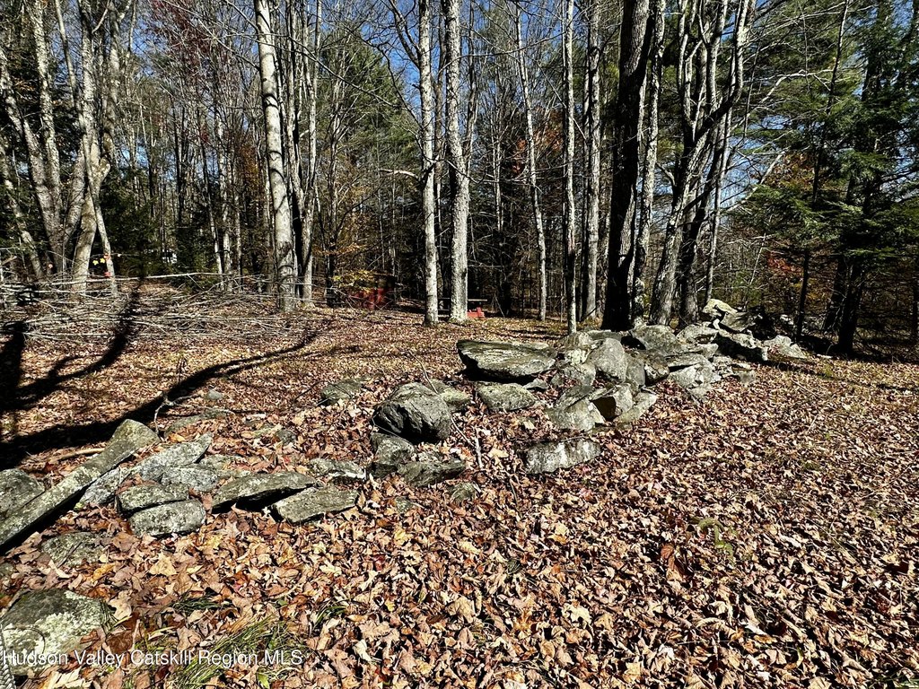 Picture 8