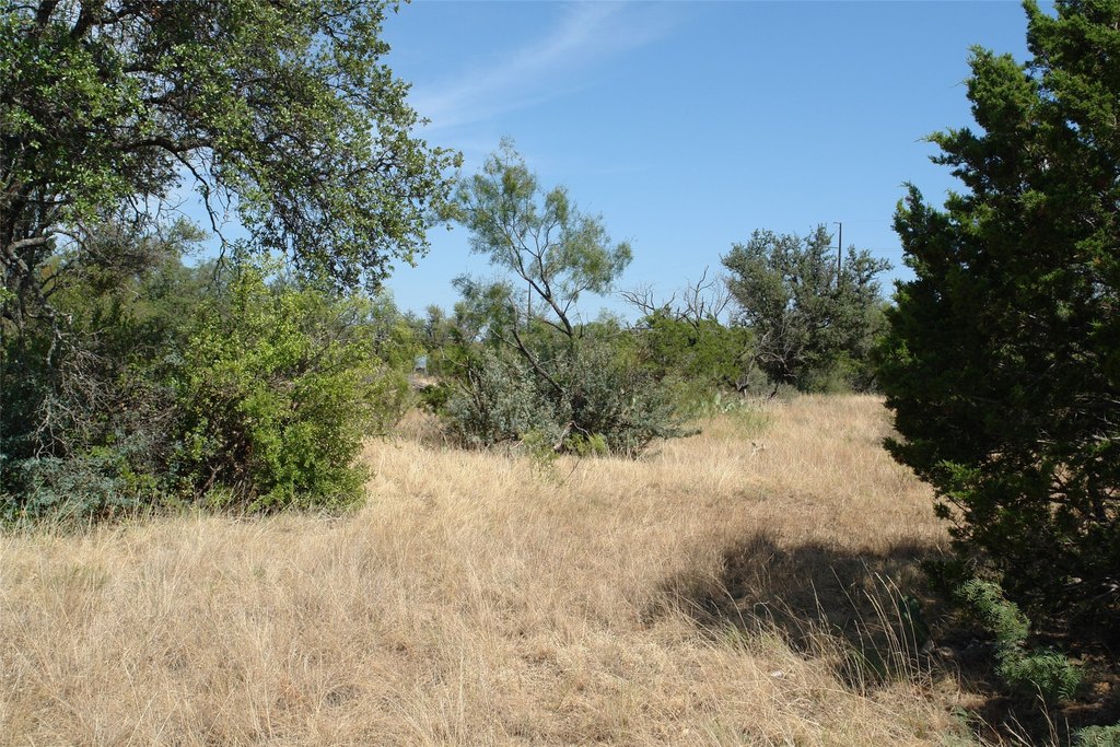 Picture 16