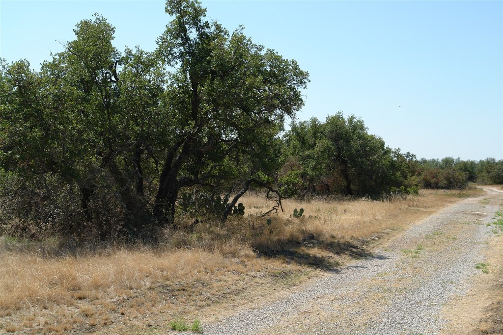 Picture 7