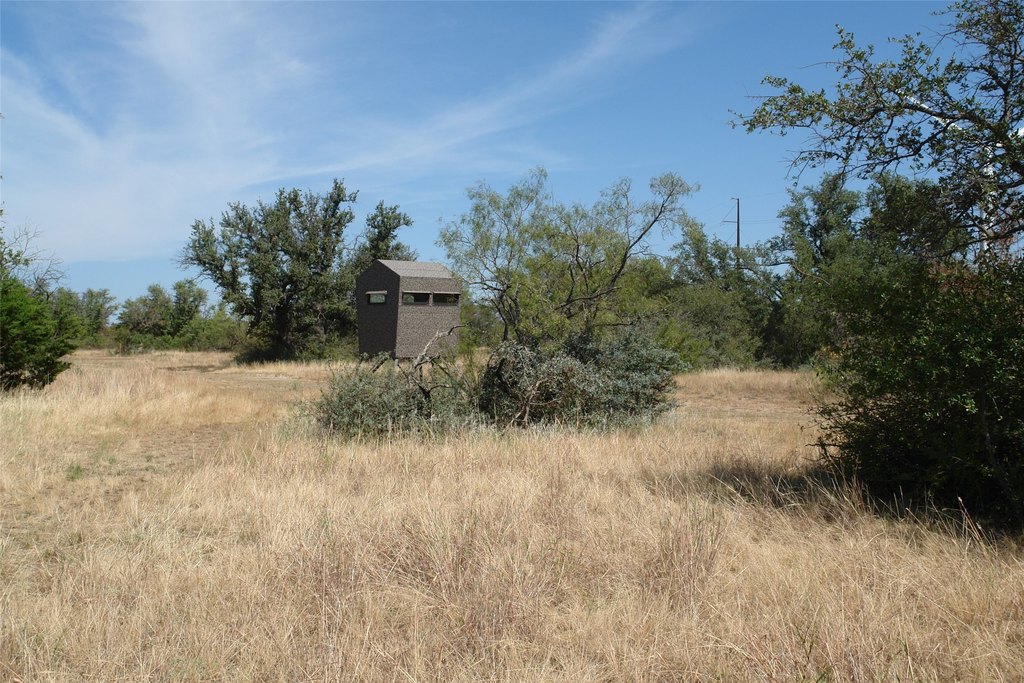 Picture 17