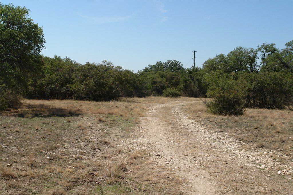 Picture 10