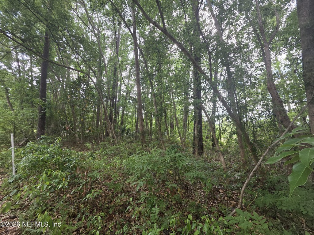 Picture 5