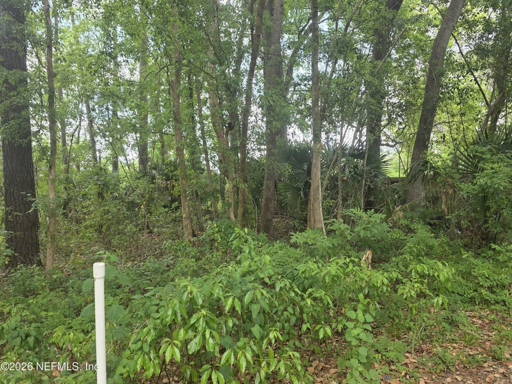 Picture 6