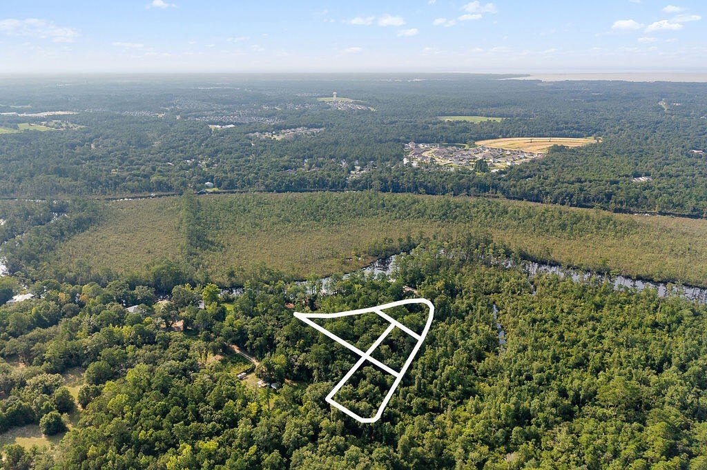 Picture 13