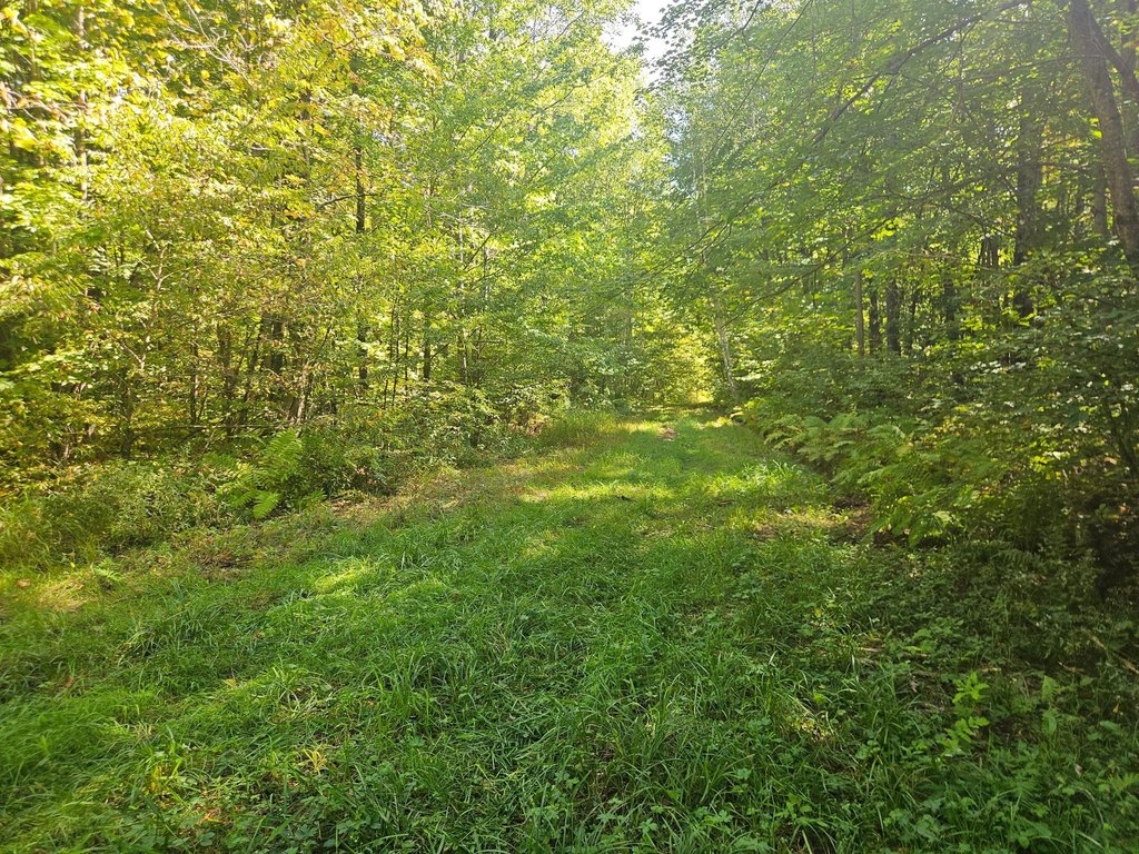 Picture 3