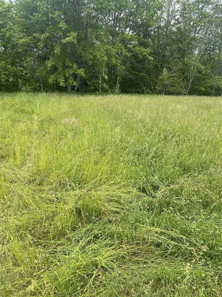 Two Acre Charlevoix Land Parcel