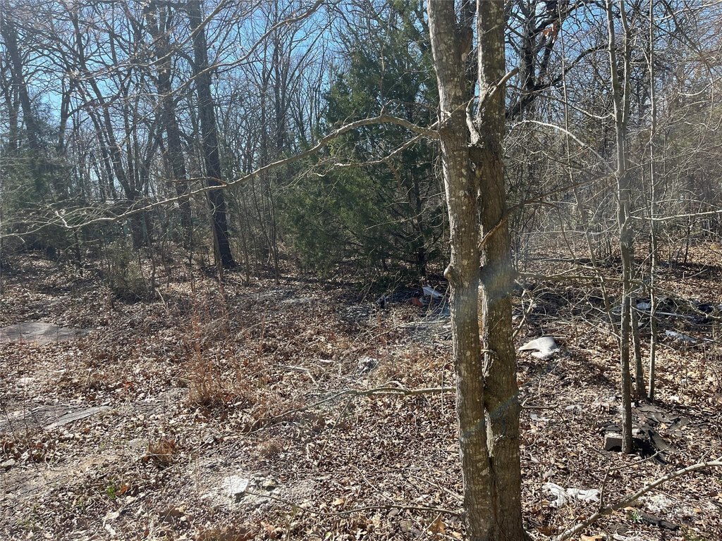 Picture 2