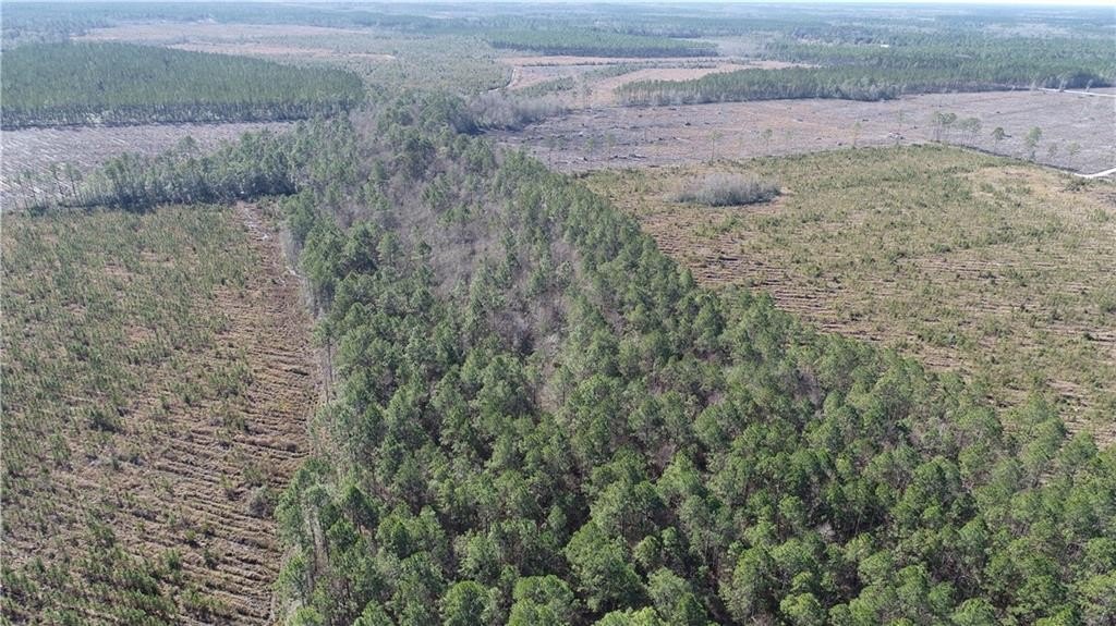 Wayne County Hunting and Timber
