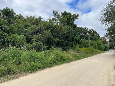 Wooded Lot in Growing Area