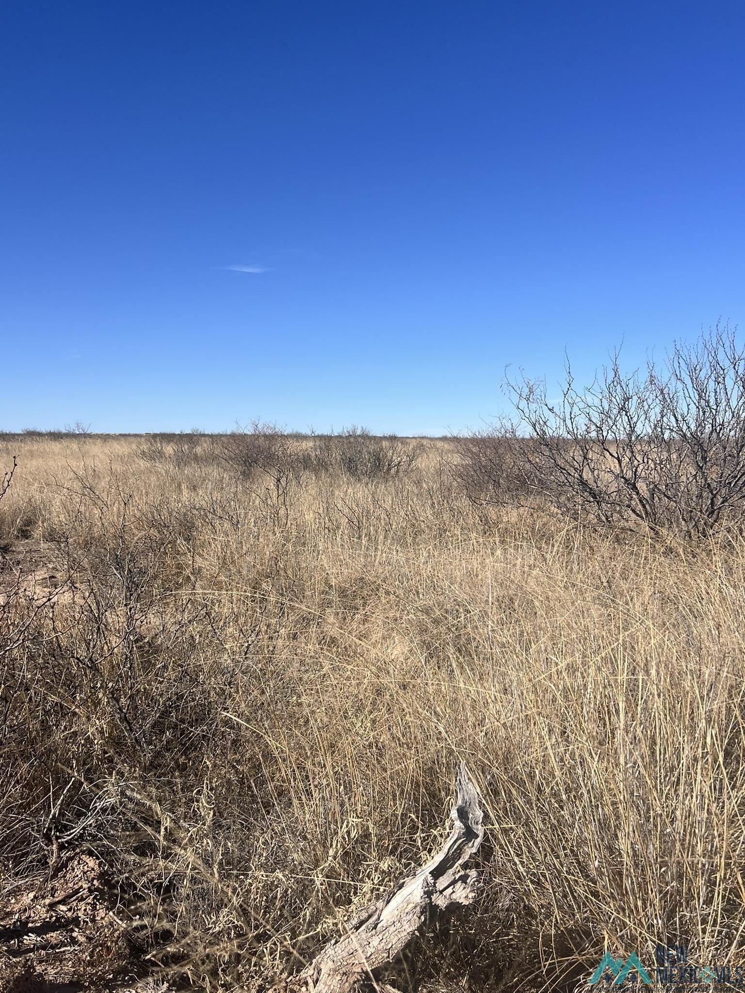61 Acres in Lake Arthur
